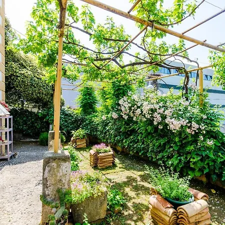 Ivana - Triple With Shared Bathroom Apartamento Dubrovnik
